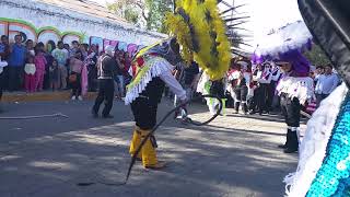 Carnaval Panzacola 2018 la culebra [upl. by Ozner]