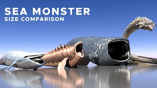 Sea Monsters Size Comparison 2024  3D Animation Comparison  Fish Size Comparison [upl. by Eniamahs]