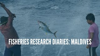 IPNLF Fisheries Research Diaries  Maldives [upl. by Nede]