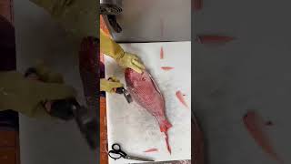 Amazing Yellow Fish Cutting Skills 💯😯 fishcuttingskills fishcutting fishing shorts fish redrat [upl. by Hilde]