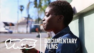 SHELTER Full Length Documentary [upl. by Durning]