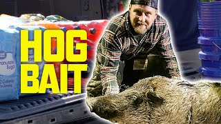 HOW TO Make HOMEMADE Hog Bait Hunting Wild Hogs in Alabama [upl. by Dnomar999]