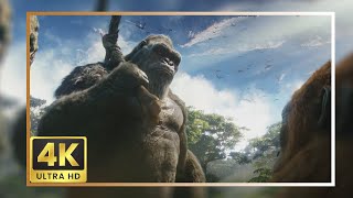 Kong 2024 Scene Pack  Godzilla X Kong The New Empire 4K Clips [upl. by Pernick]