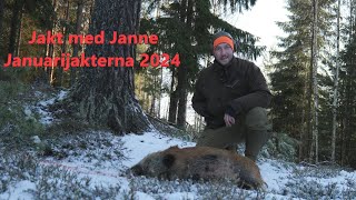 Jakt med Janne  Januarijakterna 2024 4K [upl. by Zoila]