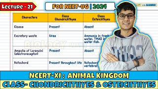 Lec 21 Class Chondrichthyes amp Osteichthyes Animal Kingdom Class 11 NEET 2024 [upl. by Atiekahs]