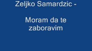 Zeljko Samardzic Moram da te zaboravim [upl. by Luapnaes]