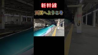 【新幹線】新幹線の天国 東北、秋田、山形、北陸新幹線 しんかんせん 鉄道はやぶさ大宮駅 [upl. by Slen839]