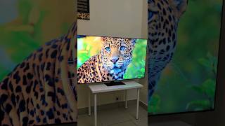 Samsung QN95D NeoQLED TV Unboxing  The Best TV For Gaming [upl. by Silver1]