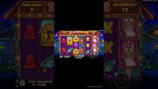 The Dog House Megaways Slot Bonus MEGA WIN casino slot bonus shorts [upl. by Enniroc]