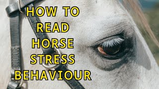 Intro to Horse Stress Behaviour THE EYE [upl. by Githens]