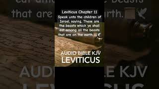 The Clean and the Unclean Gods Distinction Among Beasts on Earth Short shorts Leviticus bible [upl. by Gorlicki784]