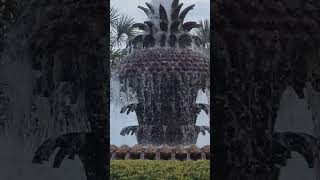 Pineapple Fountain In Charleston South Carolina [upl. by Hctub539]