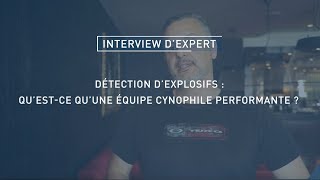 Détection d’explosifs  qu’estce qu’une équipe cynophile performante [upl. by Otreblig114]