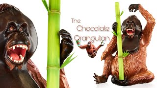 Chocolate Orangutan [upl. by Notlimah646]