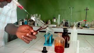 WAEC 2024 Chemistry Practical Qualitative Analysis salt analysis [upl. by Antebi174]