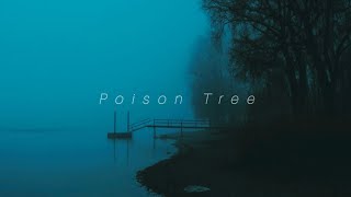 Grouper Poison Tree Slowed and Reverb [upl. by Ynneg98]