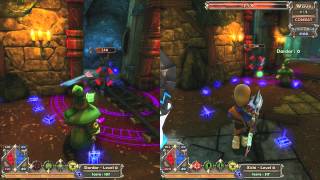 Dungeon Defenders  The Coop Mode [upl. by Nnahgem]