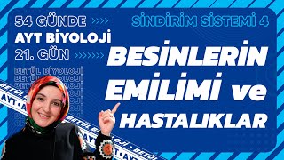 21 Besinlerin Emilimi ve Hastalıklar  Sindirim Sistemi  11 Sınıf  AYT Biyoloji Kampı 21 Gün [upl. by Ttenaej]