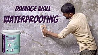 Wall Waterproofing treatment  How To Repair Damp Wall  Asian Paint Hydro loc [upl. by Nodnal887]