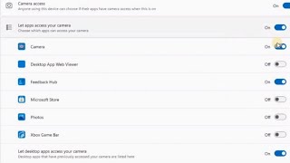 How to Enable Disable and Manage App Permissions on Windows 11 [upl. by Rowe]
