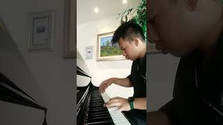 My Heart Will Go On  Celine Dion Ost Titanic Piano Cover [upl. by Cuthbert486]