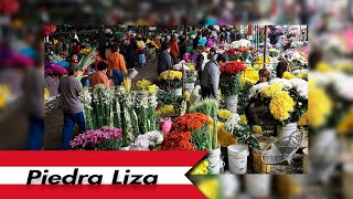 💐🌼VISITANDO PIEDRA LIZA MERCADO DE FLORES EN LIMA [upl. by Nauqad]