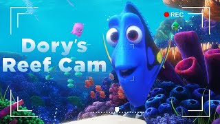 Dorys Reef Cam  Disney Finding Nemo Animated Screensaver  Review [upl. by Wandie163]