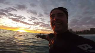 POV Surfing Snapper Rocks this morning 🌅 [upl. by Daly]