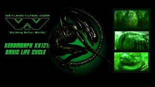 WeylandYutani Notes on Xenomorph XX121s Basic Life Cycle [upl. by Hansiain]