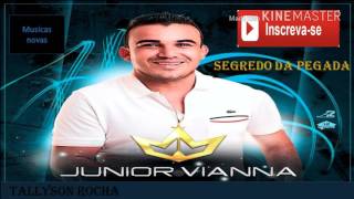 Junior Vianna  Segredo Da Pegada  Música Nova  Dezembro 2016 [upl. by Nollahp122]