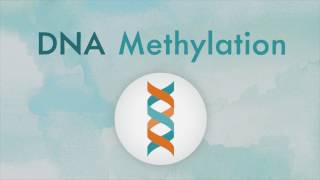 How DNA methylation works [upl. by Malinda]