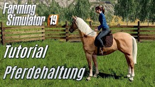 LS19 Pferdehaltung Tutorial  für Einsteiger [upl. by Trula48]