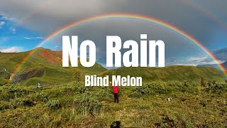 No Rain  Blind Melon Lyrics [upl. by Giraldo]