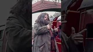 How Often Hagrid Was FAKE in Harry Potter [upl. by Naro453]