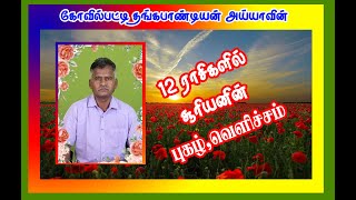 தங்கபாண்டியன் அய்யாவின் 12 ராசிகளில் சூரியனின் புகழ் வெளிச்சம் விளக்கம் [upl. by Etnaled]