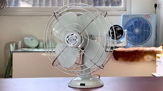 1960’s Elcon 12” Desk Fan [upl. by Elbring]