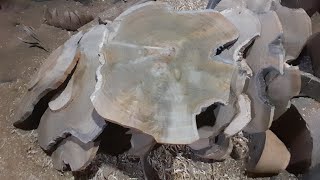 Eco friendly finishes for wooden plates bowls and furniture [upl. by Nirrep421]