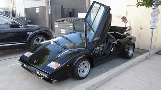 1987 Lamborghini Countach 5000 QV quotDowndraftquot w startup [upl. by Enawyd]