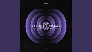 Youre My Ecstasy Original Mix [upl. by Howenstein]