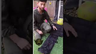 IDF Combat Medic Explains the Benefits of a Proper Medical Bag [upl. by Nofpets]