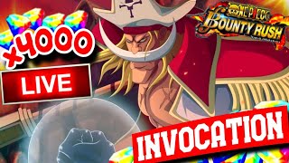 OPBR INVOCATION HISTORIQUE JUSQUAU DROP DU BARBE BLANCHE SBF 🏆 One Piece Bounty Rush  LIVE😡 [upl. by Annaek373]