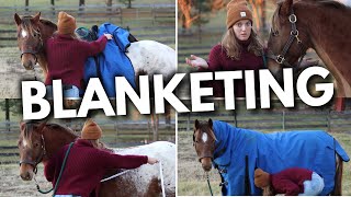 HOW TO BLANKET A HORSE EASY BEGINNERS GUIDE [upl. by Tiduj174]