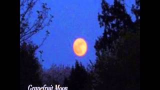 Grapefruit Moon Tom Waits Cover  Billy Killoran [upl. by Normandy]