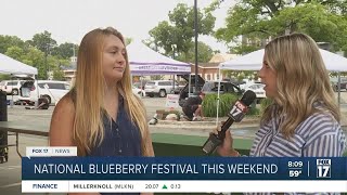 8A  National Blueberry Fest blooms for its 60th year in South Haven [upl. by Allsopp]