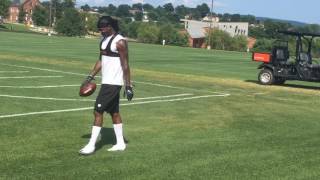 Martavis Bryant runs routes at Steelers camp [upl. by Ynnej]