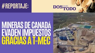 Reportaje ¬ Mineras canadienses exprimen recursos de México y gracias al TMEC no pagan impuestos [upl. by Gnod]