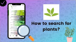 How to search for plants on PlantNet  PlantNet Tips [upl. by Otina]