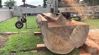 Quarter sawing sycamore [upl. by Claus]