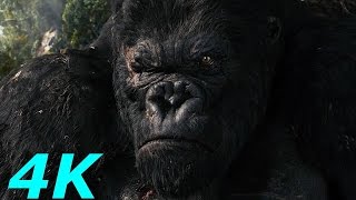 Kong Battles The TRexes  King Kong2005 Movie Clip Bluray HD Sheitla [upl. by Deragon]