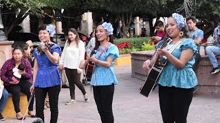 COMPARTAN Miren como tocan y bailan quotMaria Chuchenaquot Perlitas Queretanas [upl. by Eelarak]